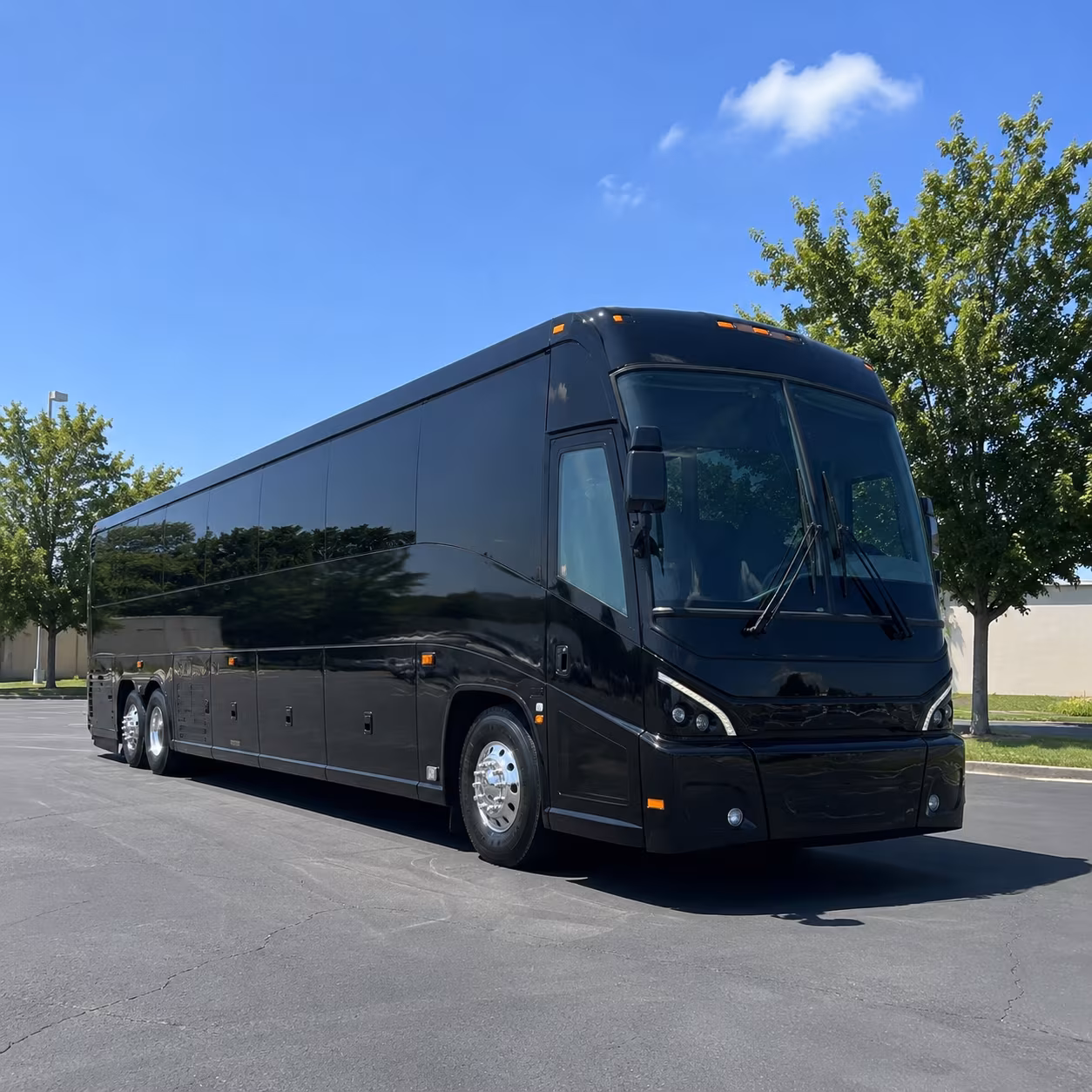 hampton 56 passenger charter bus