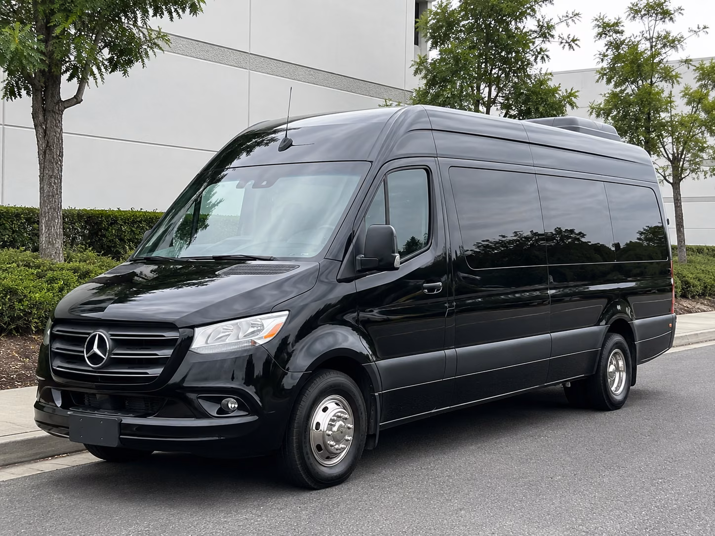 hampton sprinter van with driver